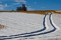 Schneespur